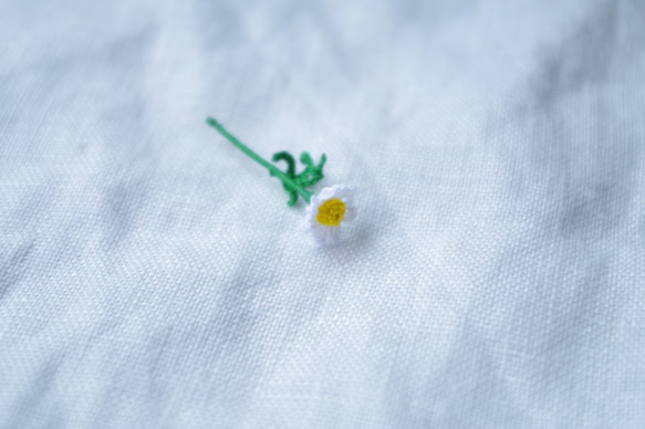 【選べる花材】カモミール×１本 2枚目の画像