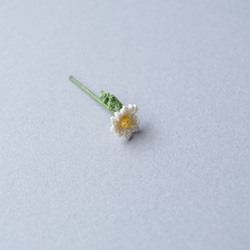 【選べる花材】カモミール×１本 5枚目の画像