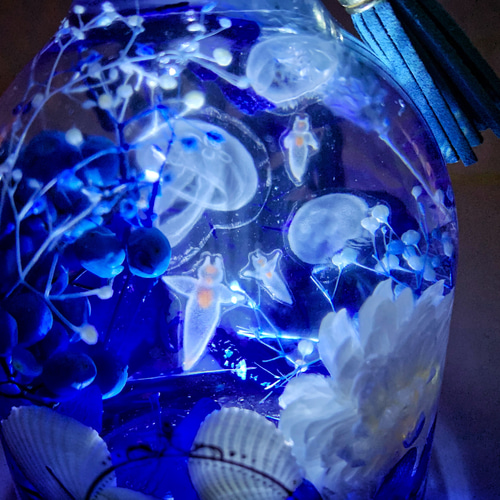 新作☆LEDライト付き☆クラゲとクリオネのハーバリウム ハー