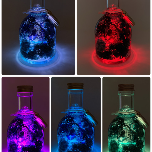 新作！LEDライト付き クラゲとクリオネのハーバリウム〜深海