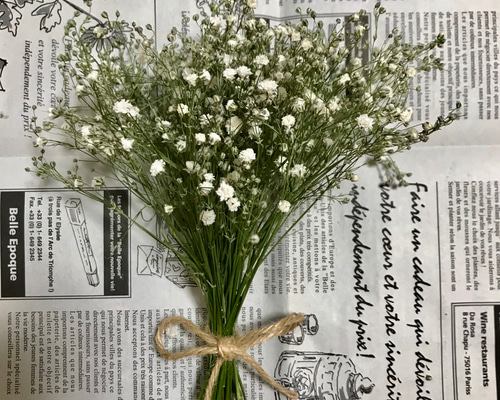 0_c5206f10d7a42890a4f06a3900d9