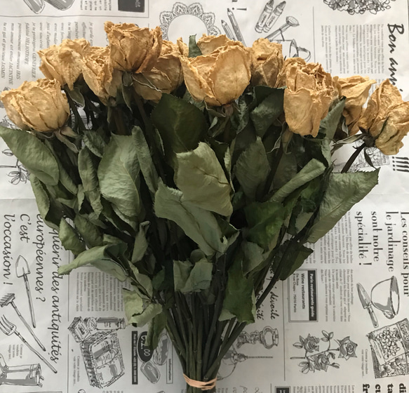 お得！ドライフラワー】薔薇 ばら バラ 白 30本 30㎝ ドライフラワー