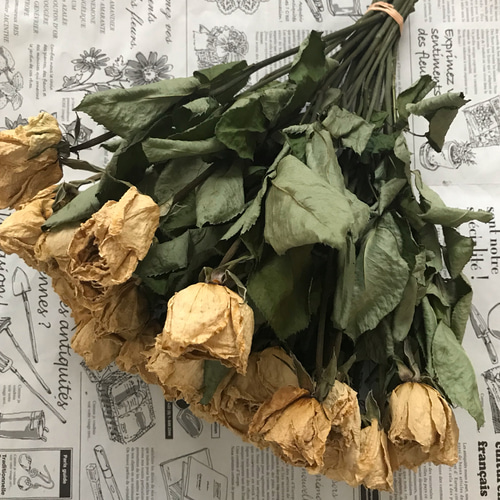 お得！ドライフラワー】薔薇 ばら バラ 白 30本 30㎝ ドライフラワー