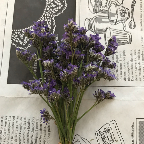 紫色のスターチス ドライフラワー 紫 10本⇒26g 〈No.42〉 スターチス