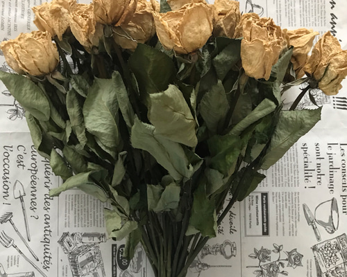 0_eeea9fa7f14a75288fb78c260b40