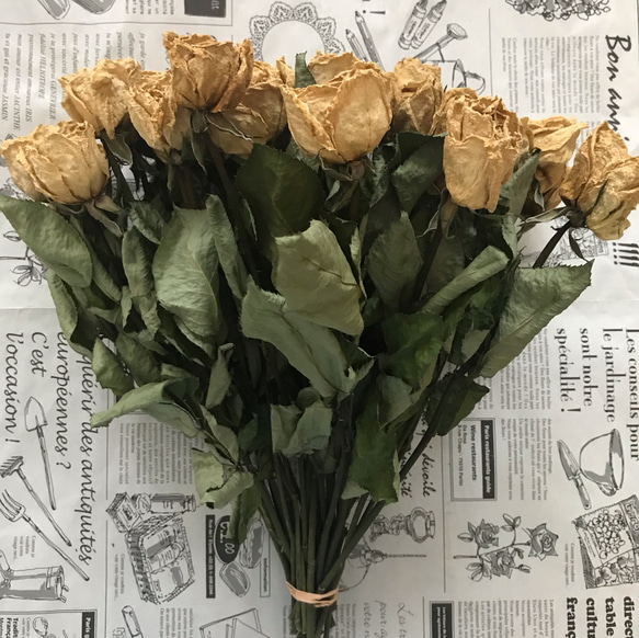 お得！ドライフラワー】薔薇 ばら バラ 白 30本 30㎝ ドライフラワー 