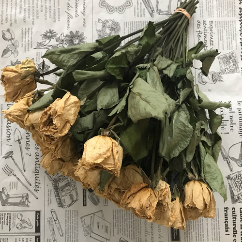 お得！ドライフラワー】薔薇 ばら バラ 白 30本 30㎝ ドライフラワー