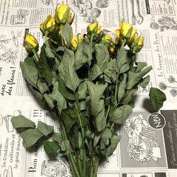 お得！ドライフラワー】薔薇 ばら バラ 白 30本 30㎝ ドライフラワー