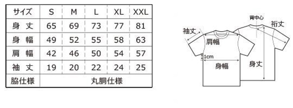  第3張的照片