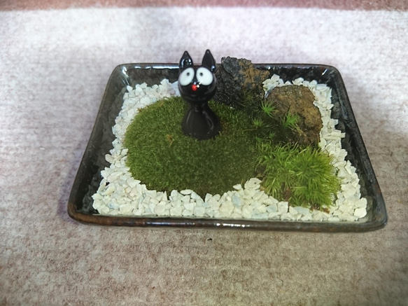苔テラリウム　ミニ盆栽庭園風 黒猫の庭園 1枚目の画像