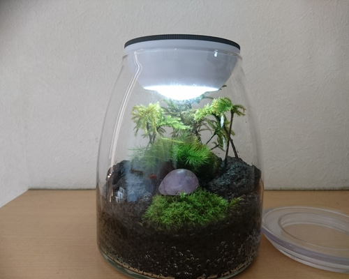 テラリウム 仙台アエル 】インテリアに映える苔テラリウムワークショップ Feel The