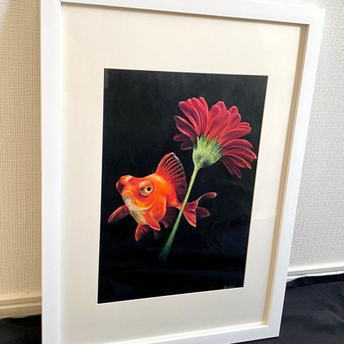 チョークアート 金魚とガーベラ 絵画 kebi 通販 12678870