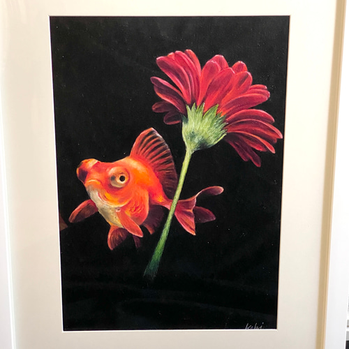チョークアート 金魚とガーベラ 絵画 kebi 通販 12678870