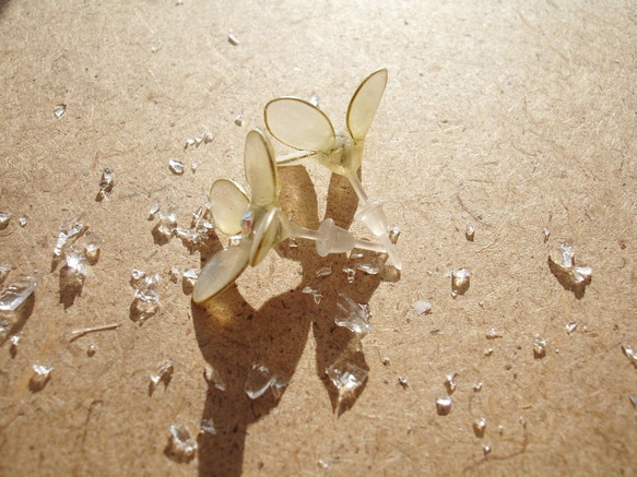 白い紫陽花の精（ピアス） 4枚目の画像