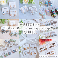 ✿ Happy bag ✿ ピアス イヤリング サージカルステンレス nonoacs 夏の福袋 ニッケルフリー 1枚目の画像