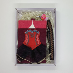 バレエパスケース【赤×黒・キトリ】バレリーナへのプレゼントや発表会の贈り物、記念品に(r01) 4枚目の画像