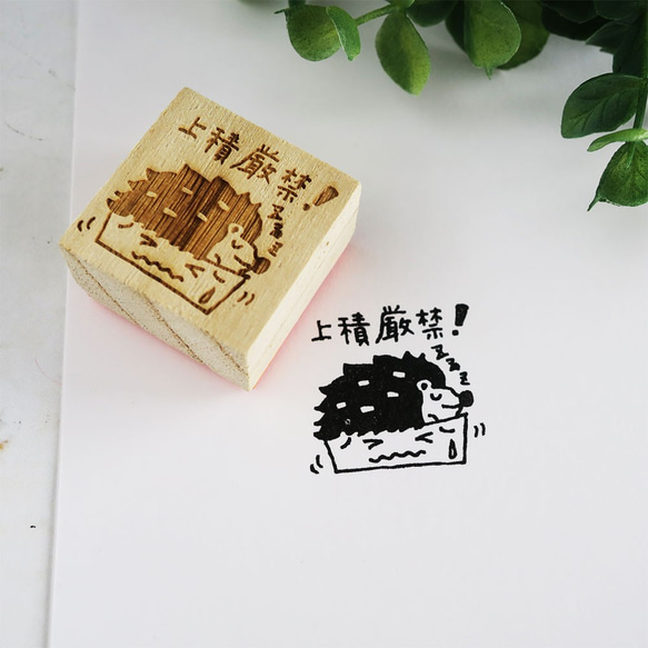 ★ 刺蝟郵票3cm x 3cm 第1張的照片