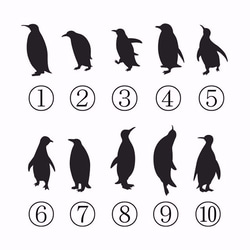 可以選擇企鵝☆企鵝腳印圓珠筆（黑色）/敲打型 第2張的照片