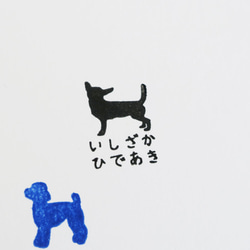 ★ 可選擇的狗品種姓名印章 1 號 吉娃娃臘腸犬 柴犬 玩具貴賓犬 第7張的照片