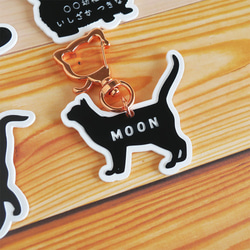 名稱鑰匙扣可愛的黑貓剪影您可以從 4 種名稱中選擇蘇格蘭折耳貓日本貓 Ame 第9張的照片