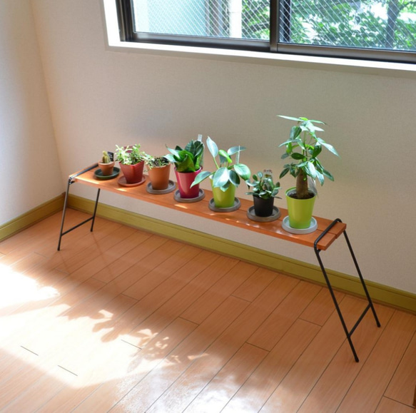 (送料無料)120㎝板付　アイアンシェルフ  多肉植物　観葉植物ラック  ミニテーブル　ローテーブ　フラワースタンド花棚 2枚目の画像