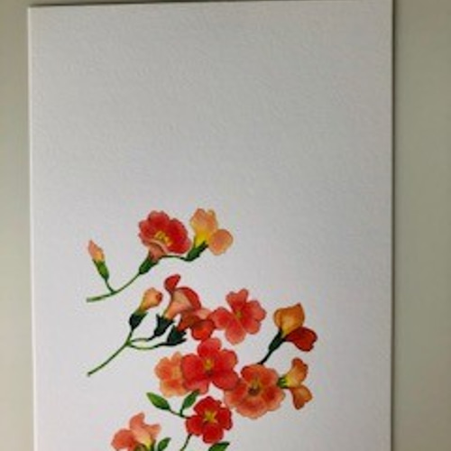 ※水彩画(花)№206 水彩画(花)№206 水彩画(花)№206