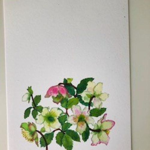 水彩画 花 hq720.jpg?sqp=-