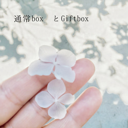 通常BOXとGIFT BOX 1枚目の画像