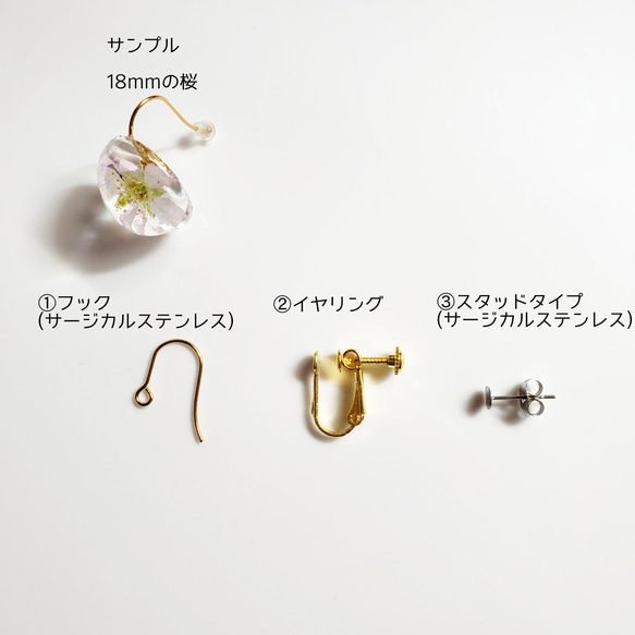 本物の桜 耳飾り2024　(20mm)サージカルステンレスピアス/ イヤリング/　卒業式　入学式 7枚目の画像