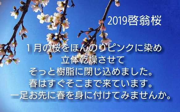 桜 2020啓翁桜(ケイオウザクラ) ポニーフック  受注制作 7枚目の画像