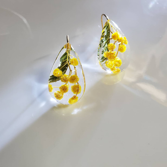 mimosa  of  tears   サージカルステンレスフックピアス (イヤリング)/ 受注制作 2枚目の画像