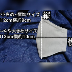 【裏地の色が選べます】抗菌,防臭,防虫効果の梅炭シルクと清涼、盛夏用裏地の夏マスク 3枚目の画像