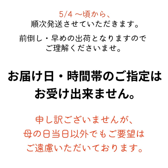 金賞農家の産地直送★《送料無料》生花鉢植え★「アリエッタ」大ぶり母の日カーネーション★5号鉢 4枚目の画像