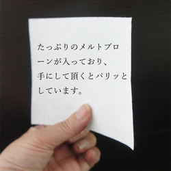 お好きなマスクを防御マスクに　”カット入り　マスクinフィルター30枚”　医療用と同様の補修率　PFEカケン法　黄砂対応 9枚目の画像