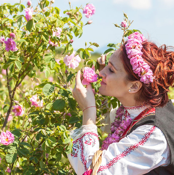 薔薇の谷へ脳活旅行　ブルガリアンローズ”薔薇ノ楽園”10ml復活　天然香料だけの薔薇香水　和香水　アロマ香水　 3枚目の画像