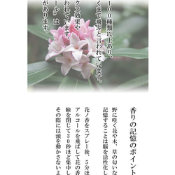 リアル沈丁花　和香水「日本の庭木香木シリーズ」16ml 6枚目の画像