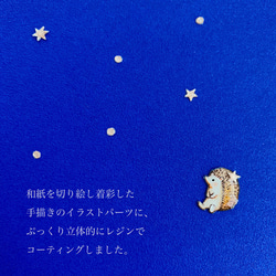 星空を眺める特等席☆ハリネズミのブローチ 9枚目の画像