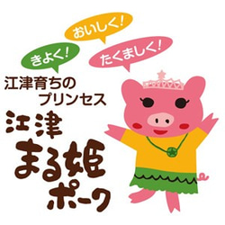 【おうちごはんシリーズ】島根県産ブランド豚肉4種の味付け肉（4袋入り） 2枚目の画像