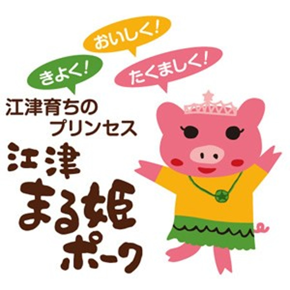 【おうちごはんシリーズ】島根県産ブランド豚肉4種の味付け肉（6袋入り） 2枚目の画像