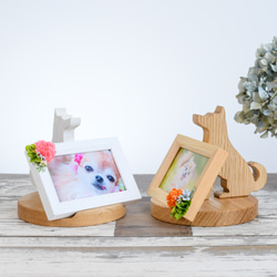 柴犬とフォトフレームのセット フォトフレーム・写真立て