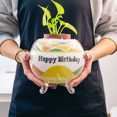 カラーサンドアート/パキラ/開店祝い/開業祝い カラーサンドアート/パキラ/開店祝い/開業祝い