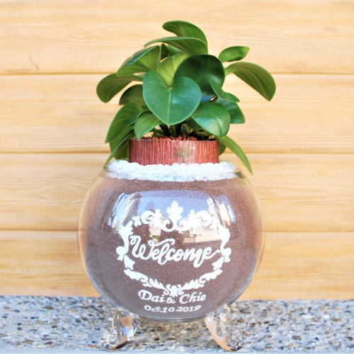 カラーサンドアート/結婚祝い カラーサンド サンドアート サンドセレモニー 結婚祝い名入れ