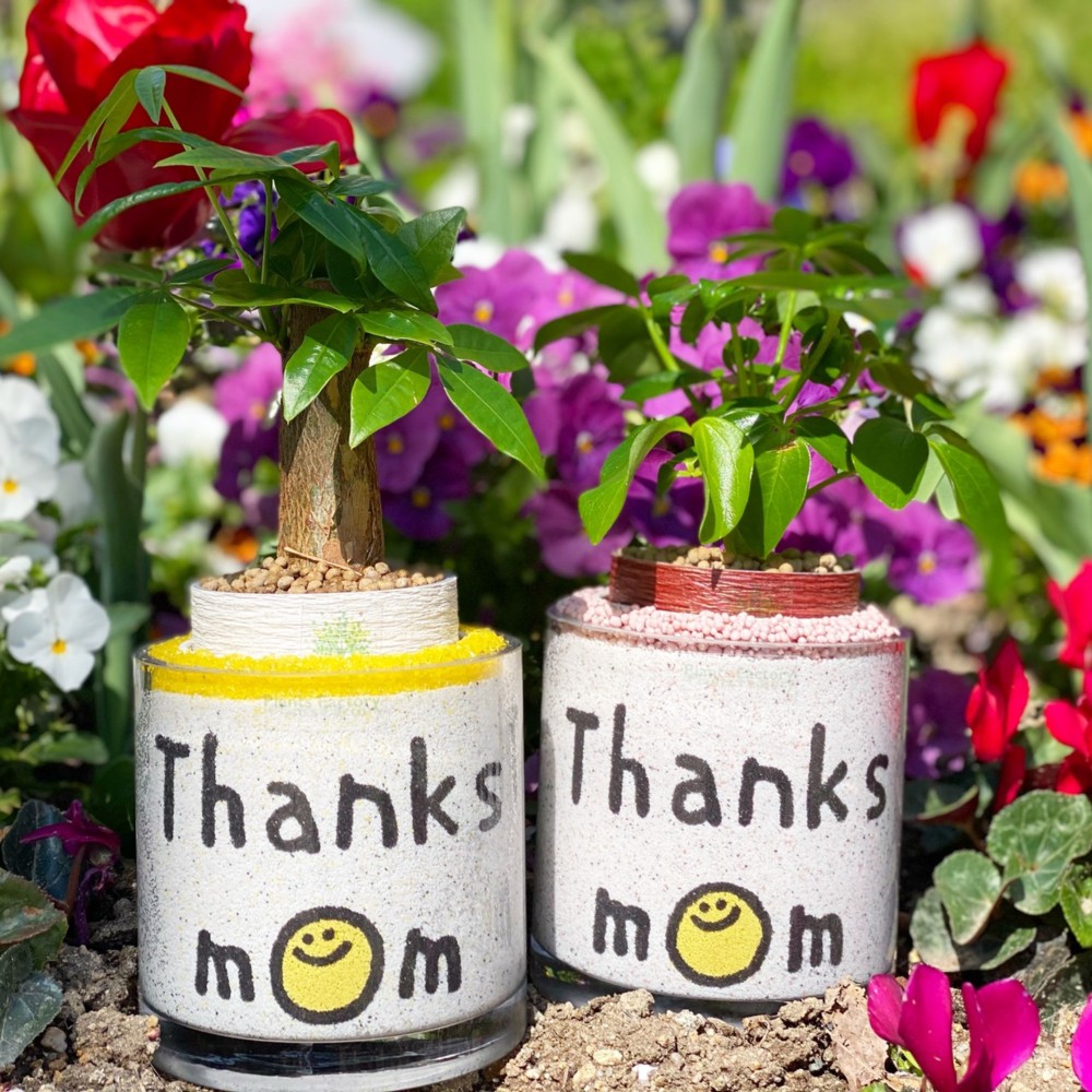 母の日　母の日プレゼント　カラーサンド　お母さん　誕生日　名入れ　カラーサンドアート