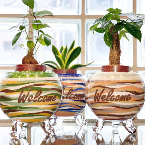 サンドアート 開業祝い 開店祝い 新築祝い 引越し祝い パキラ カラー