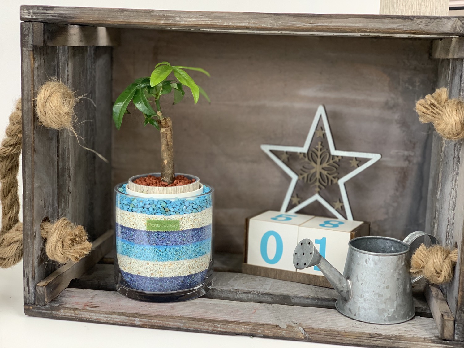 カラーサンドアート カラーサンドアート サボテン 観葉植物 虹 rainbowの通販 by