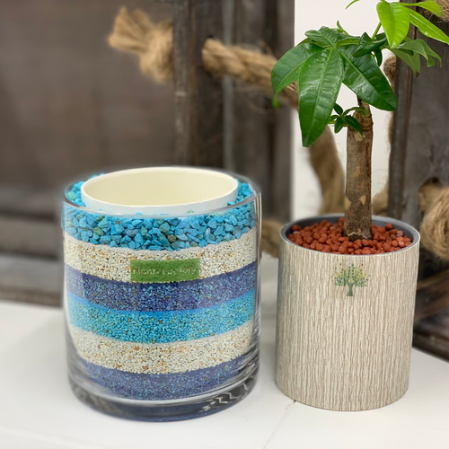カラーサンドアート☆観葉植物☆インテリア☆プランツ鉢☆引越し