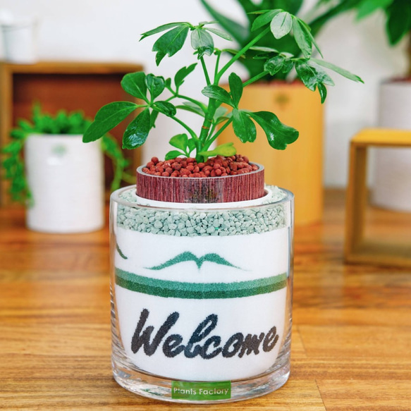 カラーサンドアート周年祝い