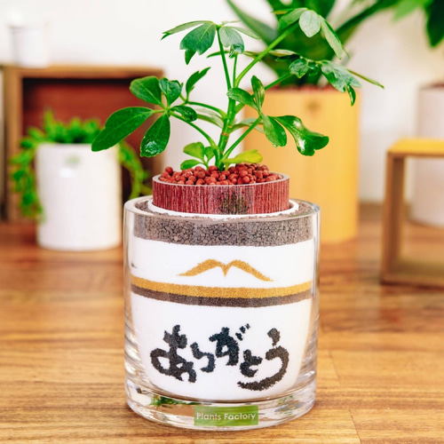 名入れ 開店祝い メッセージ 贈答品 記念日 カラーサンド カラーサンド