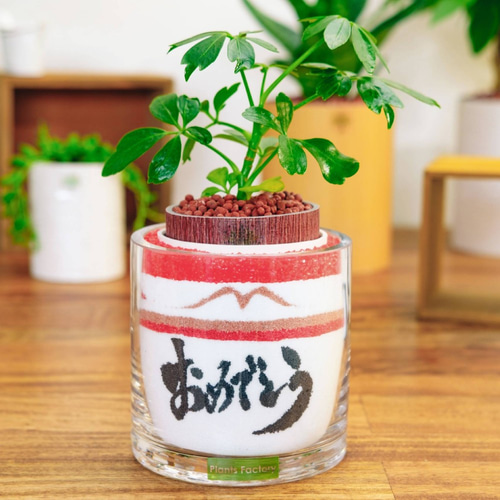 カラーサンドアート/名前入りギフト 名入れ 開店祝い メッセージ 贈答品 記念日 カラーサンド カラー