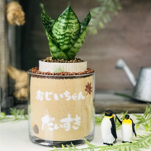 敬老の日 還暦祝い 還暦 カラーサンド カラーサンドアート 